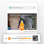 متصفح فينيكس phoenix browser