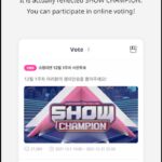 idol champ