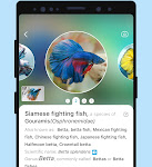 تطبيق Picture Fish – Fish Identifier