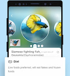 تحميل تطبيق Picture Fish – Fish Identifier